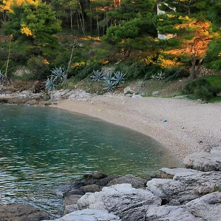 By The Sea Vis - 8921 Vis